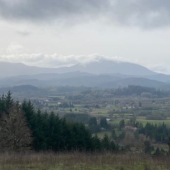 View looking west on a January day