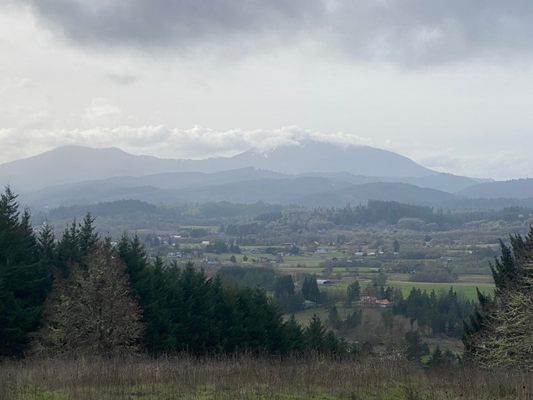 Photo of Bald Hill Park - Corvallis, OR, US. View looking west on a January day