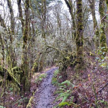 Muddy trail to the top of the hill