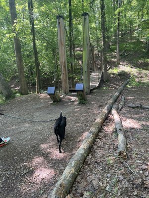 Photo of Lake Catherine State Park - Hot Springs, AR, US. Ruby Sue on her walk