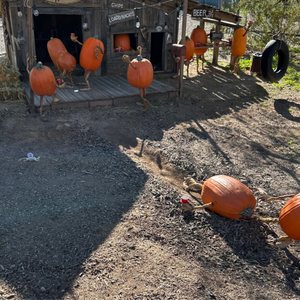 Vulture Mine Preservation & Restoration on Yelp