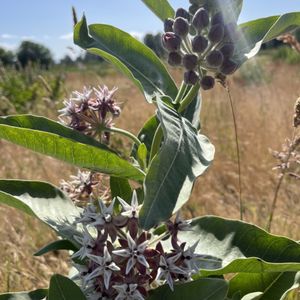 Ankeny National Wildlife Refuge on Yelp