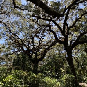 Long Key Natural Area & Nature Center on Yelp