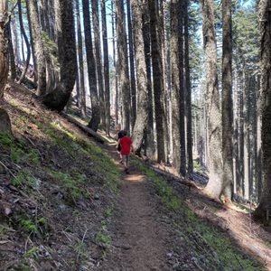 Marys Peak on Yelp