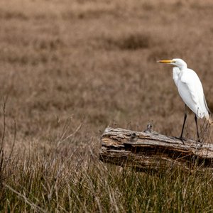 HIKE a Trail in the SF Bay Area