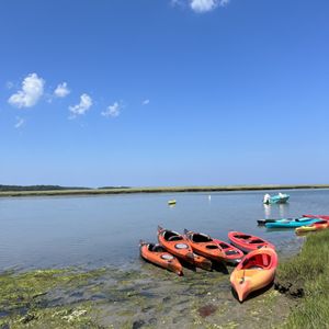 Great Marsh Kayak Tours on Yelp