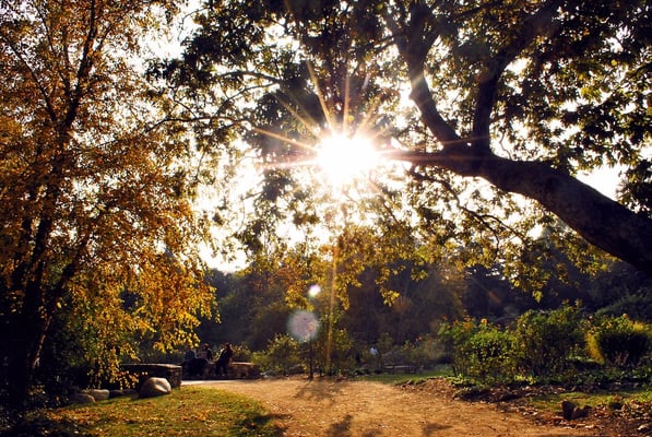 8. Descanso Gardens on Yelp