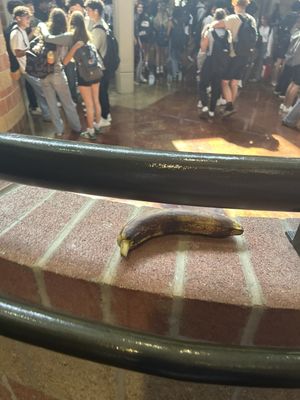 Photo of Ronald Reagan High School - San Antonio, TX, US. Banana I found