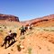 red-cliffs-lodge-moab photo ZGD_w8LXJTnCjvU985cSkA