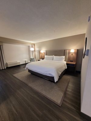 Photo of Holiday Inn Hotel & Suites Vancouver Downtown - Vancouver, BC, CA. Wheelchair accessible room. Very wide made.