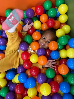 Photo of Jellybean Jungle - Marlton, NJ, US.