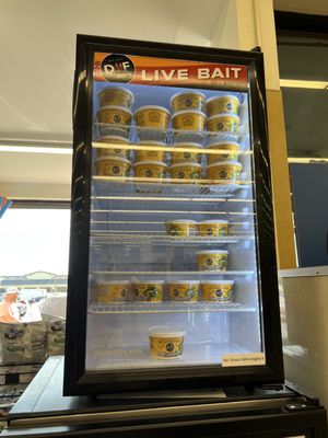 Photo of Food Lion Inc Store 937 - Corolla, NC, US. They sell live bait!