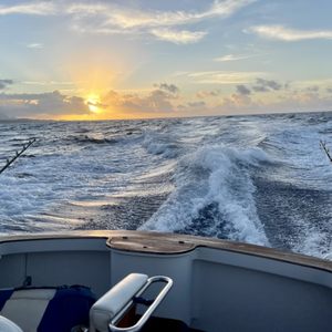 Nemesis Sportfishing on Yelp