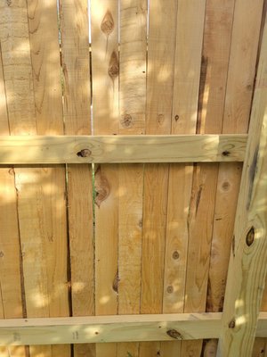 Photo of South Texas Fence - San Antonio, TX, US. Wide spaces, poor quality wood, poor crooked construction.