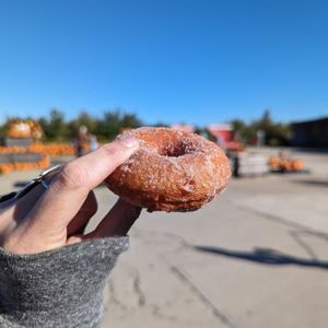 Stuckey Farm Orchard and Cider Mill on Yelp