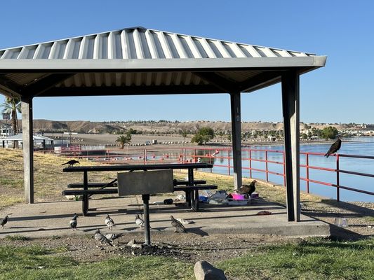 Photo of Bullhead City Parks and Recreation Area - Bullhead City, AZ, US. More garbage.