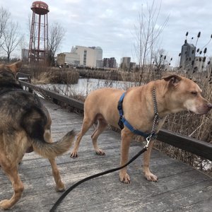 Scioto Audubon Metro Park on Yelp