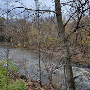 Griggs Reservoir Park on Yelp