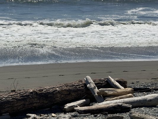 Photo of Beachfront Rv Park - Brookings, OR, US. View from the campground.