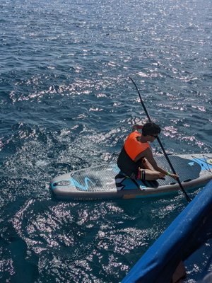 Photo of E Sea Diver - Honolulu, HI, US. Paddle boarding