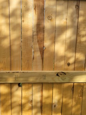 Photo of South Texas Fence - San Antonio, TX, US. Poor quality wood, spacing too wide, poor quality construction.