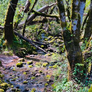 Annadel State Park on Yelp