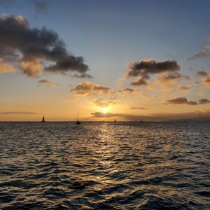 Hawaii Glass Bottom Boats on Yelp