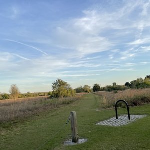 Upper Tampa Bay Trail on Yelp