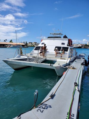 Photo of E Sea Diver - Honolulu, HI, US. Whale watching ride.