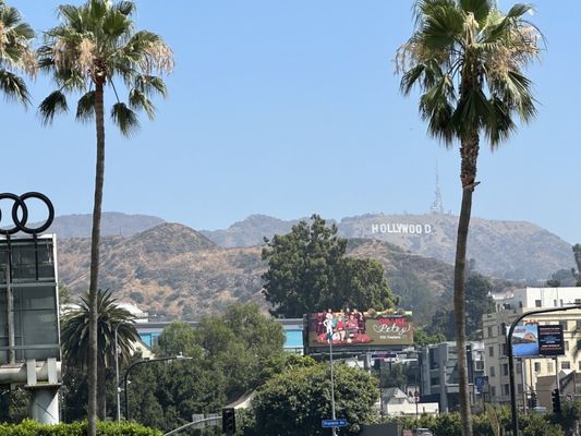 1. Hollywood Sign on Yelp