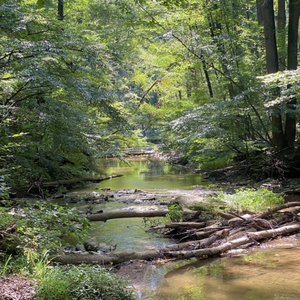 Yogi Bear’s Jellystone Park on Yelp