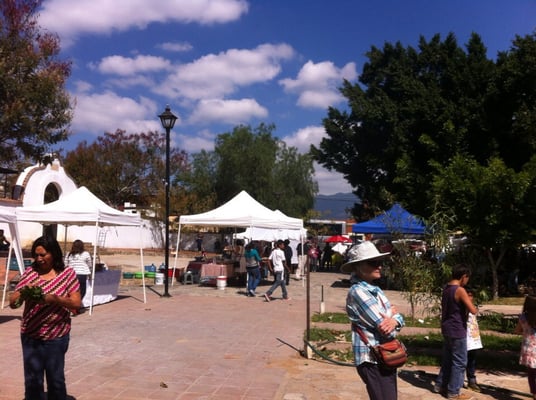 MERCADO POCHOTE XOCHIMILCO - Updated July 2024 - 23 Photos & 16 Reviews ...