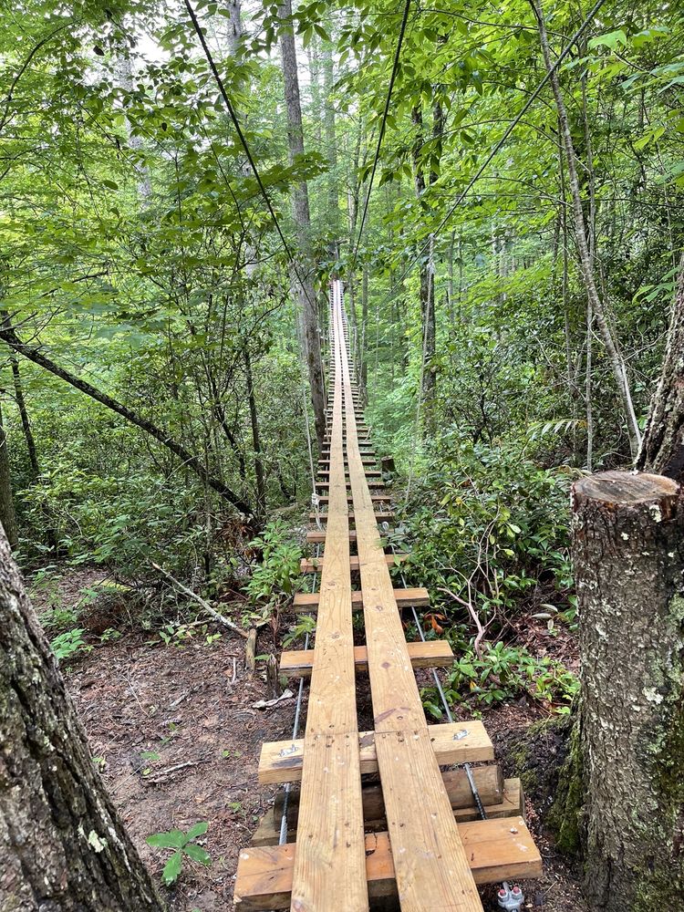 Wildwater - Nantahala Gorge Canopy Tours Logo