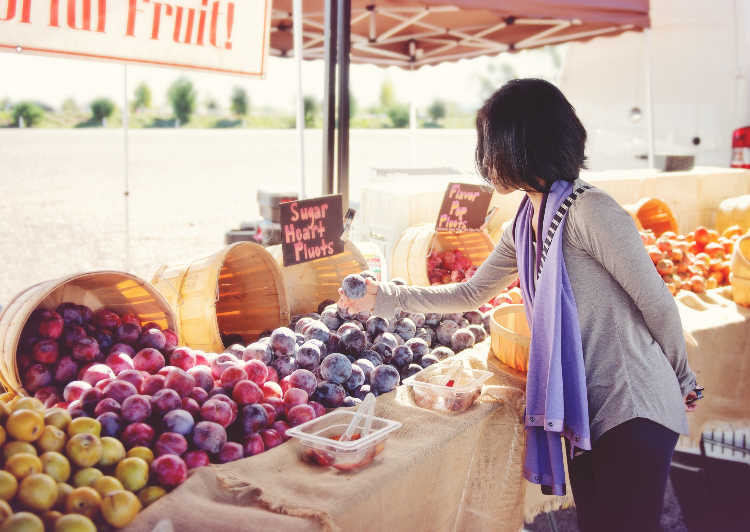 Wolf Point Farmers Market | Missouri River Country