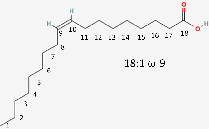 2.33 Fatty Acid Naming & Food Sources | Nutrition Flexbook