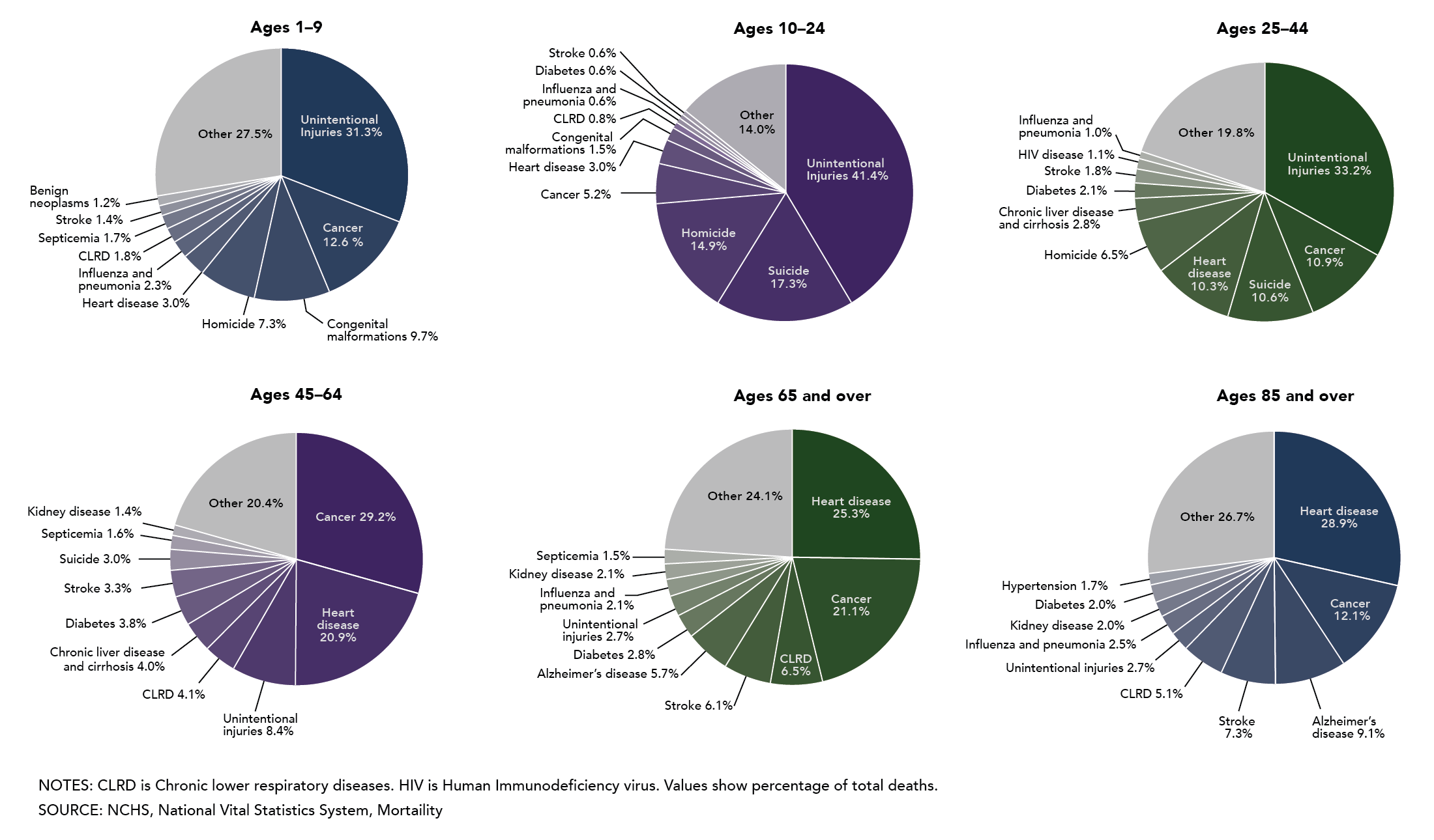 Most Common Causes of Death – Lifespan Development