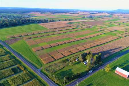 Drone Photo State College PA