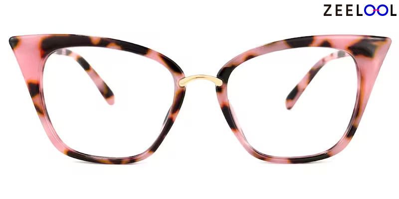 Chandrikar Glasses