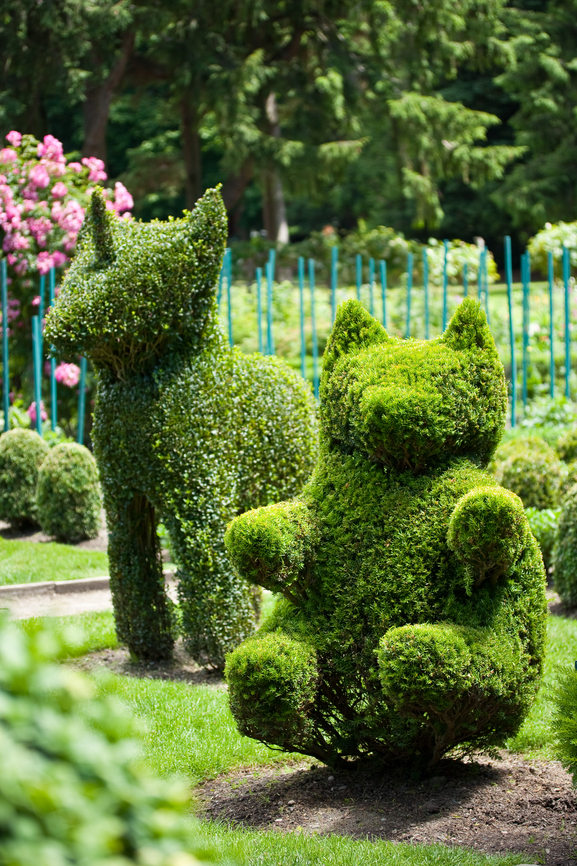 53 Stunning Topiary Trees, Gardens, Plants and Other Shapes