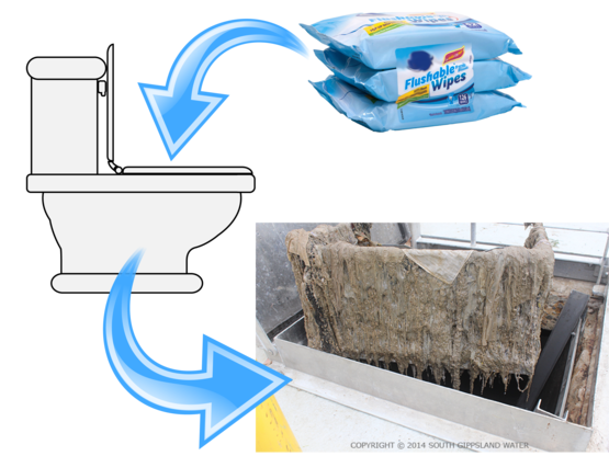 Flushable Wipes Cycle