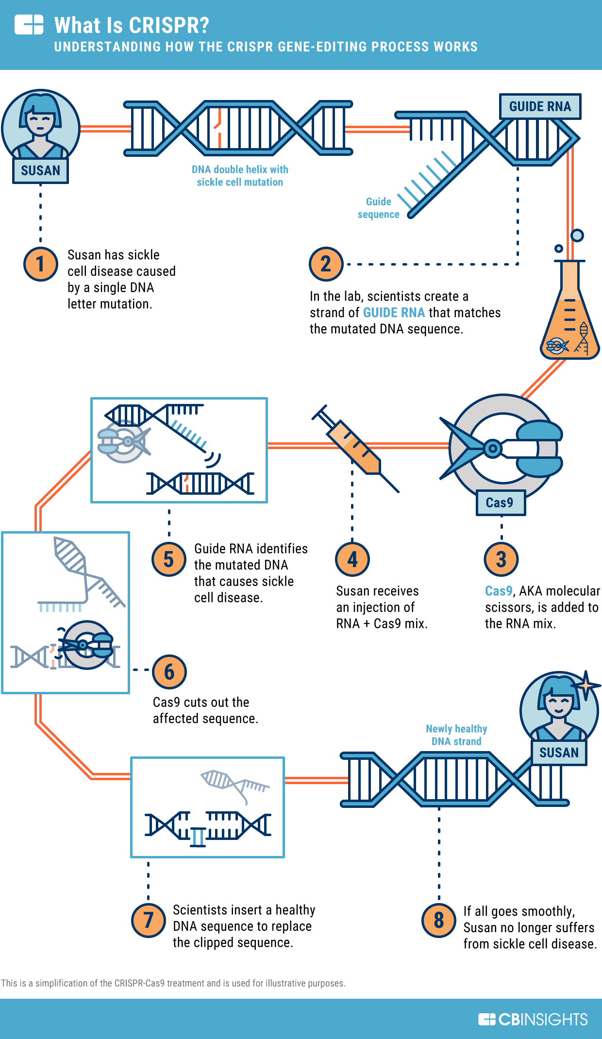 CRISPR Cas9 Explained