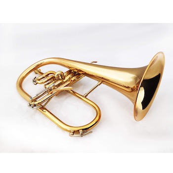 Victory Musical Instruments Revelation Series Professional Flugelhorn