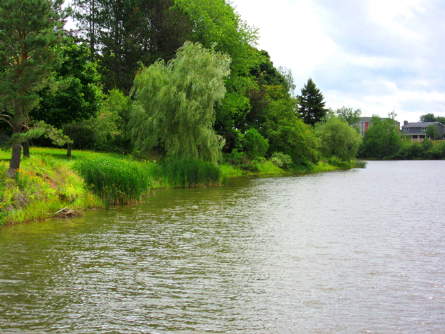 Jones Lake, Moncton