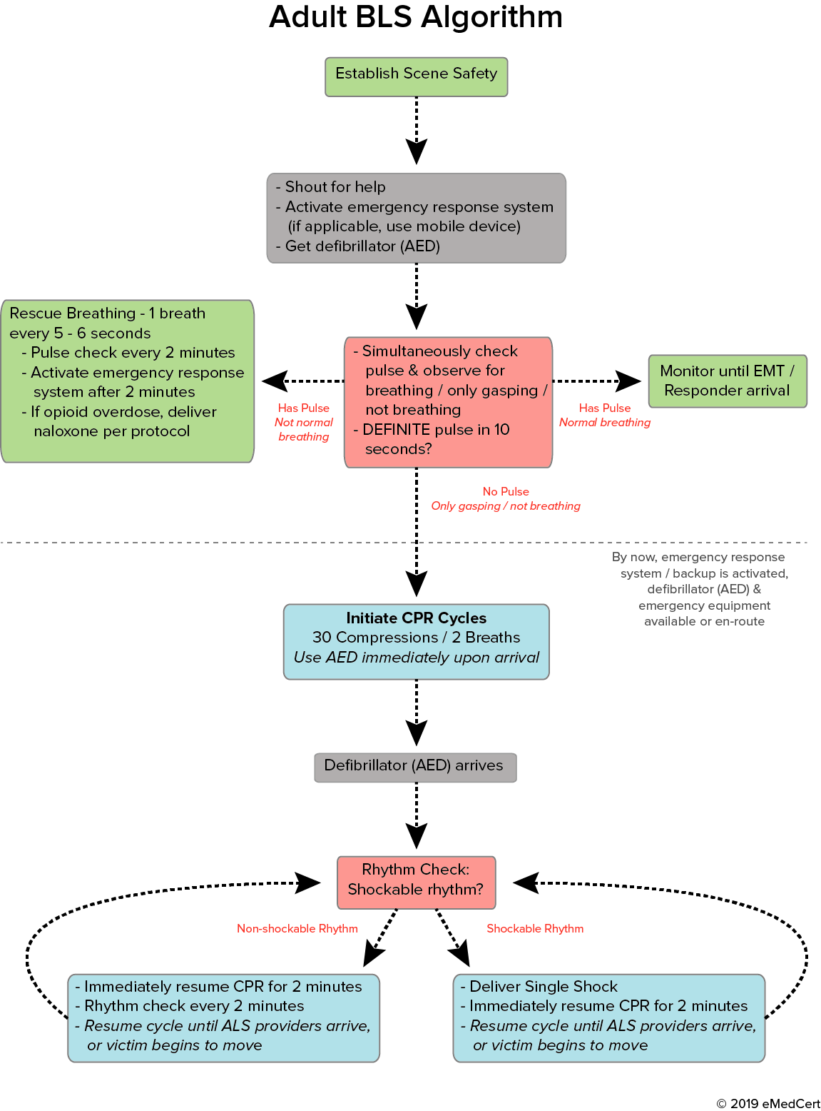 Aha Bls Guidelines 2024 - Babara Leontyne