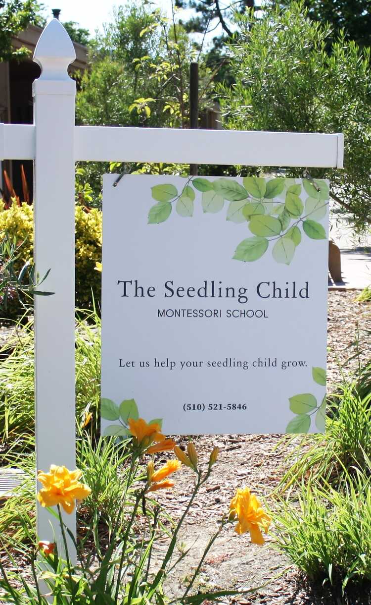 SEEDLING CHILD MONTESSORI SCHOOL