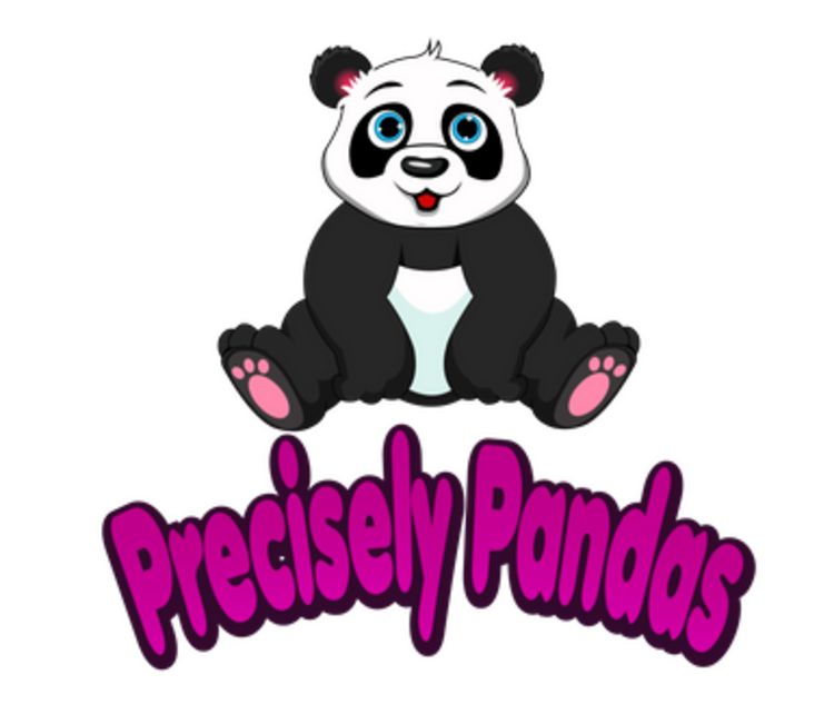 PRECISELY PANDAS CHILDCARE CENTER