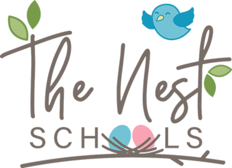 Nest Schools Plano