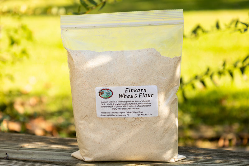 Einkorn Wheat Flour