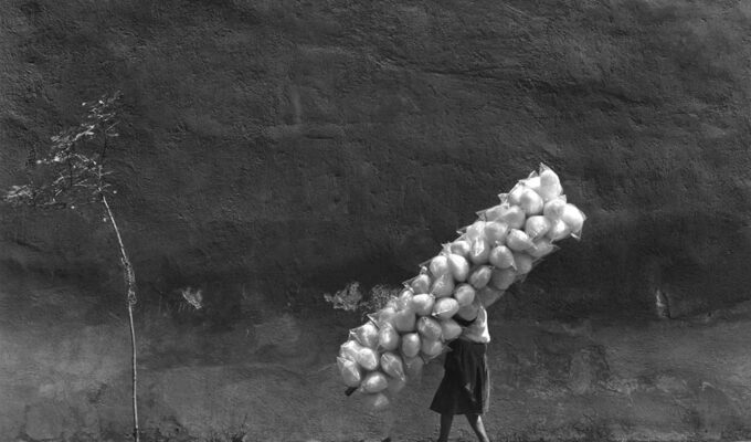 Mario Algaze, "Cotton Candy" San Angel, Mexico