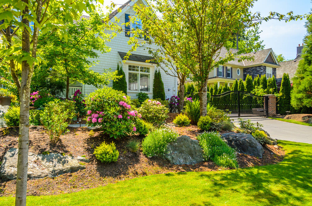 Big Front Yard Landscaping Ideas